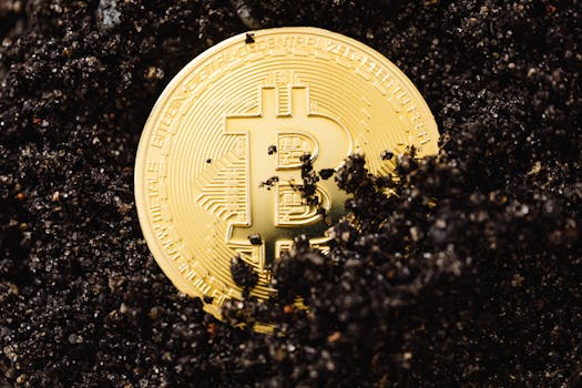 Mastering Success: Transform Obstacles into Opportunities for Growth