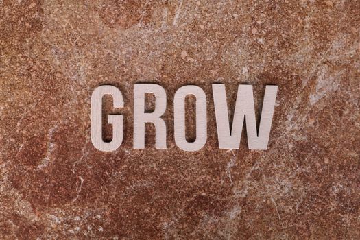 Unlock Career Growth: How Positive Thinking Drives Success